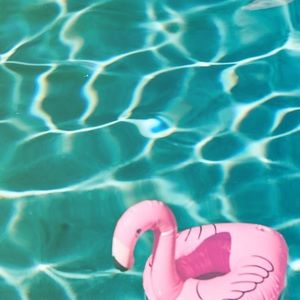 Meet your Posher, Gabriela